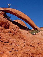 Cobra Arch