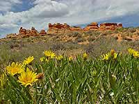 Blick Richtung Cottonwood Plateau