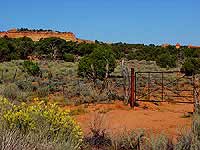 Gate/Weidezaun am Cottonwood Cove TH