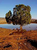 Lone Tree Reservoir