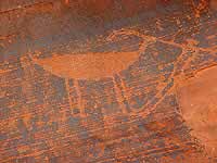 Felszeichnungen (Petroglyphs)