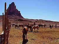 ...und zurck am Corral