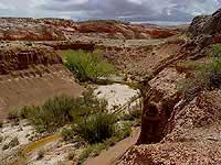 Coal Mine Canyon
