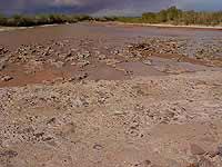 Little Colorado River