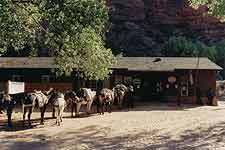 'Muli-Zug' vor dem Postamt in Supai