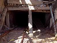 Vulture Mine