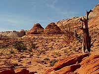 Paria Canyon - Vermilion Cliffs Wilderness