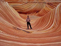 The Wave