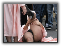 csd2009_248