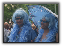 csd2010_313