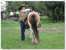 eldorado2010_st_002