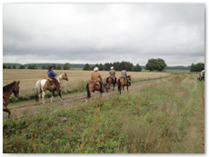 eldorado2010_st_010