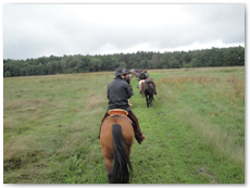 eldorado2010_st_013