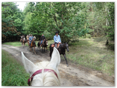 eldorado2010_st_020