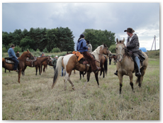 eldorado2010_st_057