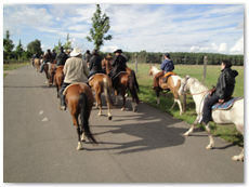 eldorado2010_st_074