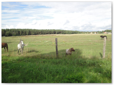 eldorado2010_st_077