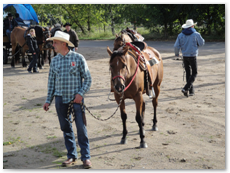 eldorado2010_st_104