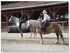 eldorado2010_st_133