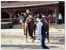 eldorado2010_st_165