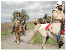 eldorado2010_st_220