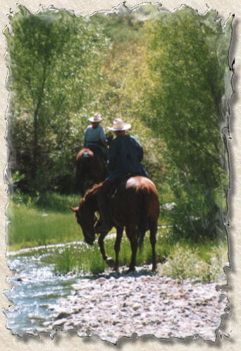 Williams Family Ranch, Arizona
