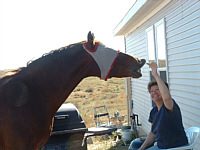 bei Gudrun in Colorado