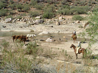 Williams Family Ranch